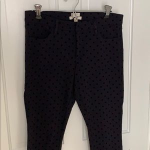 J. Crew The Gigi Polkadot pant size 10 NWOT